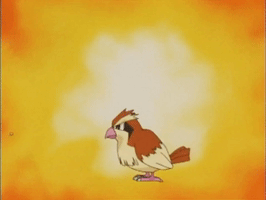 Pokemon Bird GIF