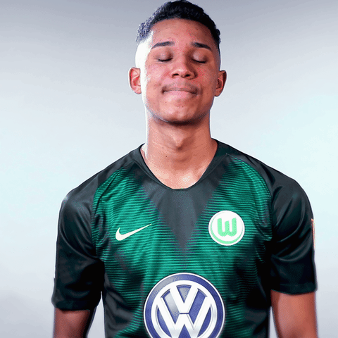 Felix Uduokhai Football GIF by VfL Wolfsburg