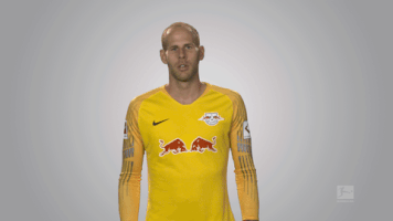 rb leipzig GIF by Bundesliga