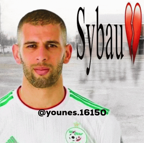 Sybau GIF