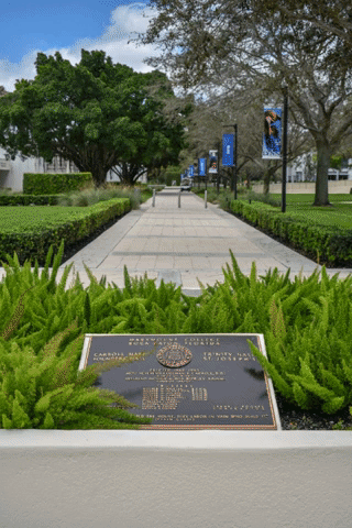 college aroundcampus GIF by Lynn University Admission