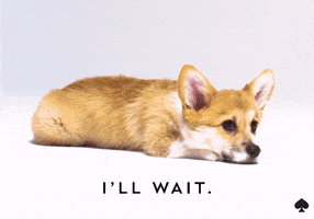 200.gif?cid=f0bdee706fu2oh3003fh3fwx38b6ypf9ribjnpz3d026qr87&rid=200.gif&ct=g