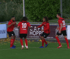 GIF by Tweede Divisie