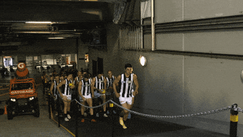 Football Sport GIF by CollingwoodFC