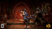Mortal-combat-x GIFs - Get the best GIF on GIPHY