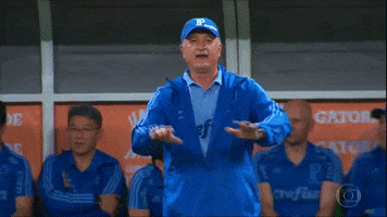 its over finish GIF by SE Palmeiras