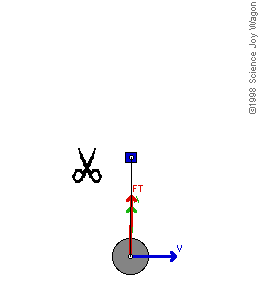 Merkezkaã§ Kuvveti GIF