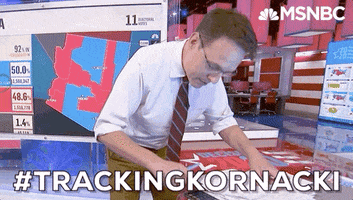 Election 2020 GIF by MSNBC
