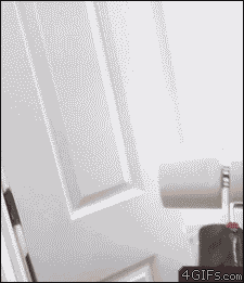Unravelling Toilet Paper GIF