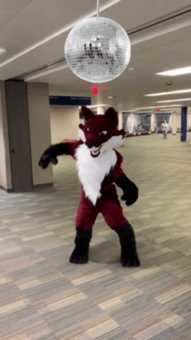 Fox Valley Technical College Dancing GIF