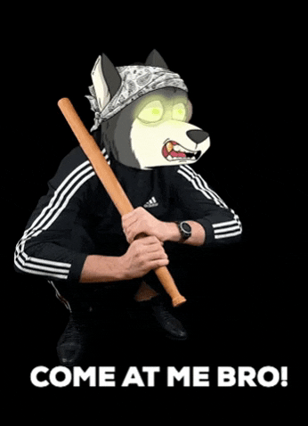 Bring It On Fighting GIF by High Street Wolf Society