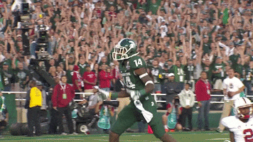 Celebrate Miami Dolphins GIF by Michigan State Football
