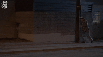 letterkenny GIF by CraveTV