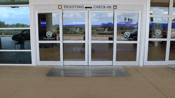 orlando airport mco GIF by Orlando International Airport (MCO)