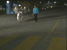 Maldives Harassment GIF
