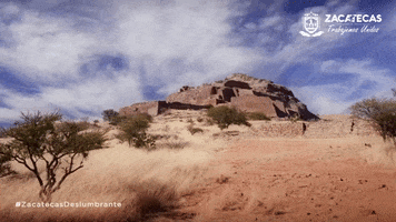 Zacatecas GIF by gobiernozac