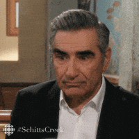 schitts creek what GIF by CBC