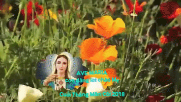 Me Man Coi GIF