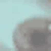 200.gif?cid=fc005b0834b1128402d246a2af529eb4292c3bcbe102b74b&rid=200.gif&ct=g