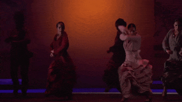 GIF by New York City Center