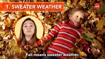 Sweater Weather Fall GIF by BuzzFeed
