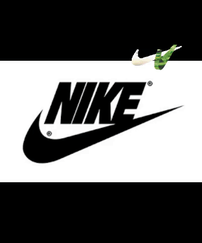 Nike Trainers GIF