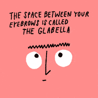 liam gallagher beauty GIF by Learn Something Every Day