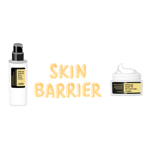 Skin Barrier Sticker by COSRX