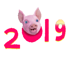Happy Chinese New Year Sticker by Chris Timmons for iOS &amp; Android | GIPHY