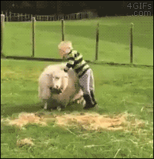 Kid Sheep GIF - Find & Share on GIPHY