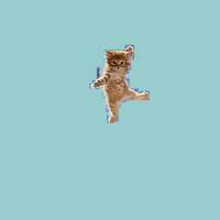 200.gif?cid=fc005b0867ec415803cb74c59b28f8ef694bcae2fdc04e6c&rid=200.gif&ct=g