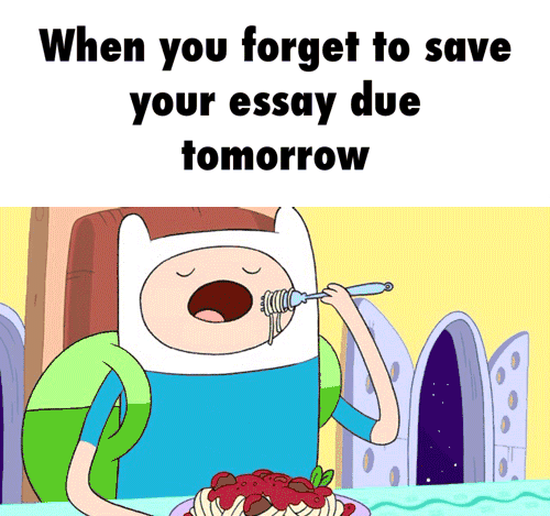 essay