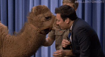 Jimmy Fallon Kiss GIF by The Tonight Show Starring Jimmy Fallon