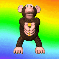 Confused Monkey GIF