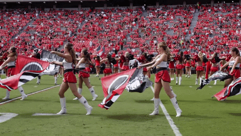 College Football Uga GIF by University of Georgia - Find & Share on GIPHY