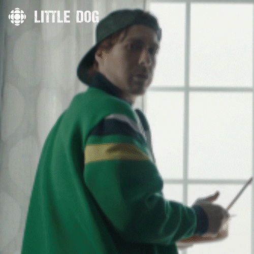 little dog laundry GIF by CBC