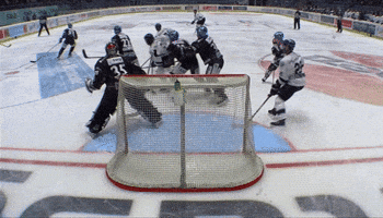 DEL-Redaktion  GIF