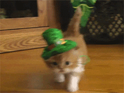 St Patricks Day Cat GIF