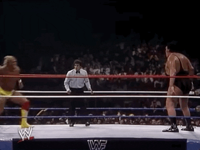 Hulk Hogan Sport GIF by WWE - Hulk Hogan Sport GIF by WWE