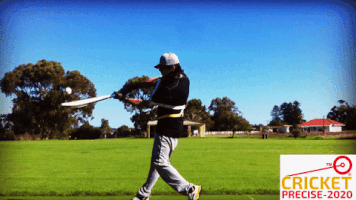 Cricket Precise GIF
