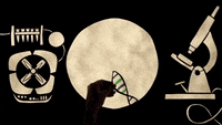 Hplc GIFs - Get the best GIF on GIPHY Hplc GIFs - Get the best GIF on GIPHY