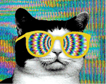  cat trippy psychedelic acid lsd GIF