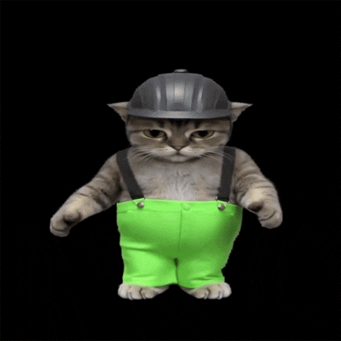 Cat Work GIF by POST-WEB