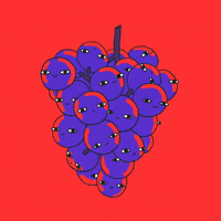 fruit grapes GIF by Stephanie Davidson