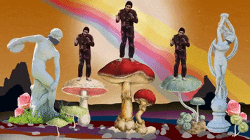 Happy Magic Mushrooms GIF by SUR