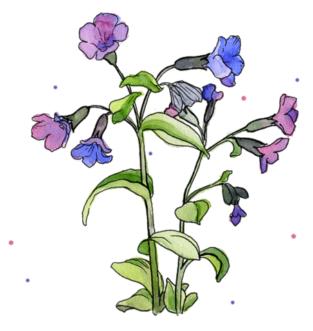 Flower Цветы Sticker