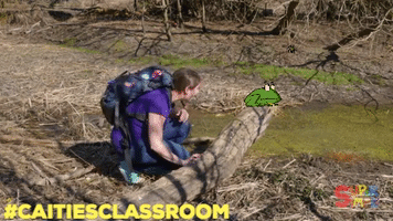 frog caitie's classroom GIF by Super Simple