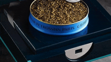 merry christmas GIF by Petrossian