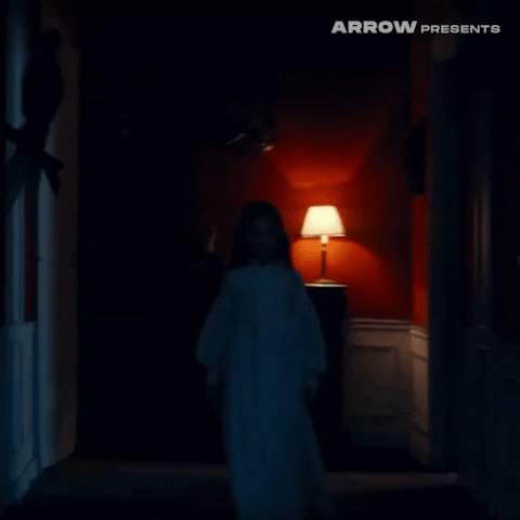 Film Horror GIF by Arrow Video