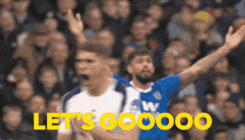 Happy Lets Go GIF by Tottenham Hotspur